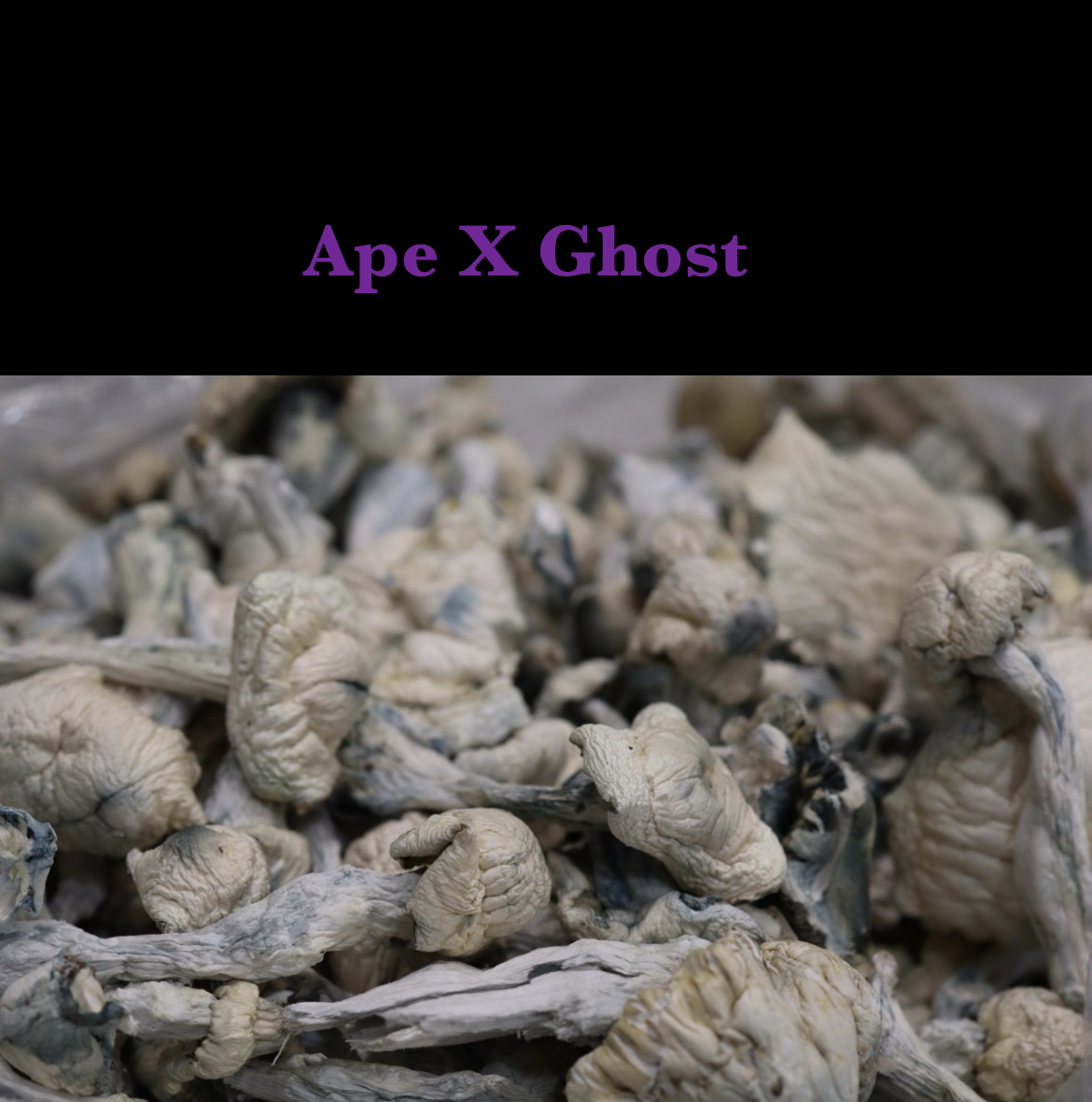 Ape X Ghost