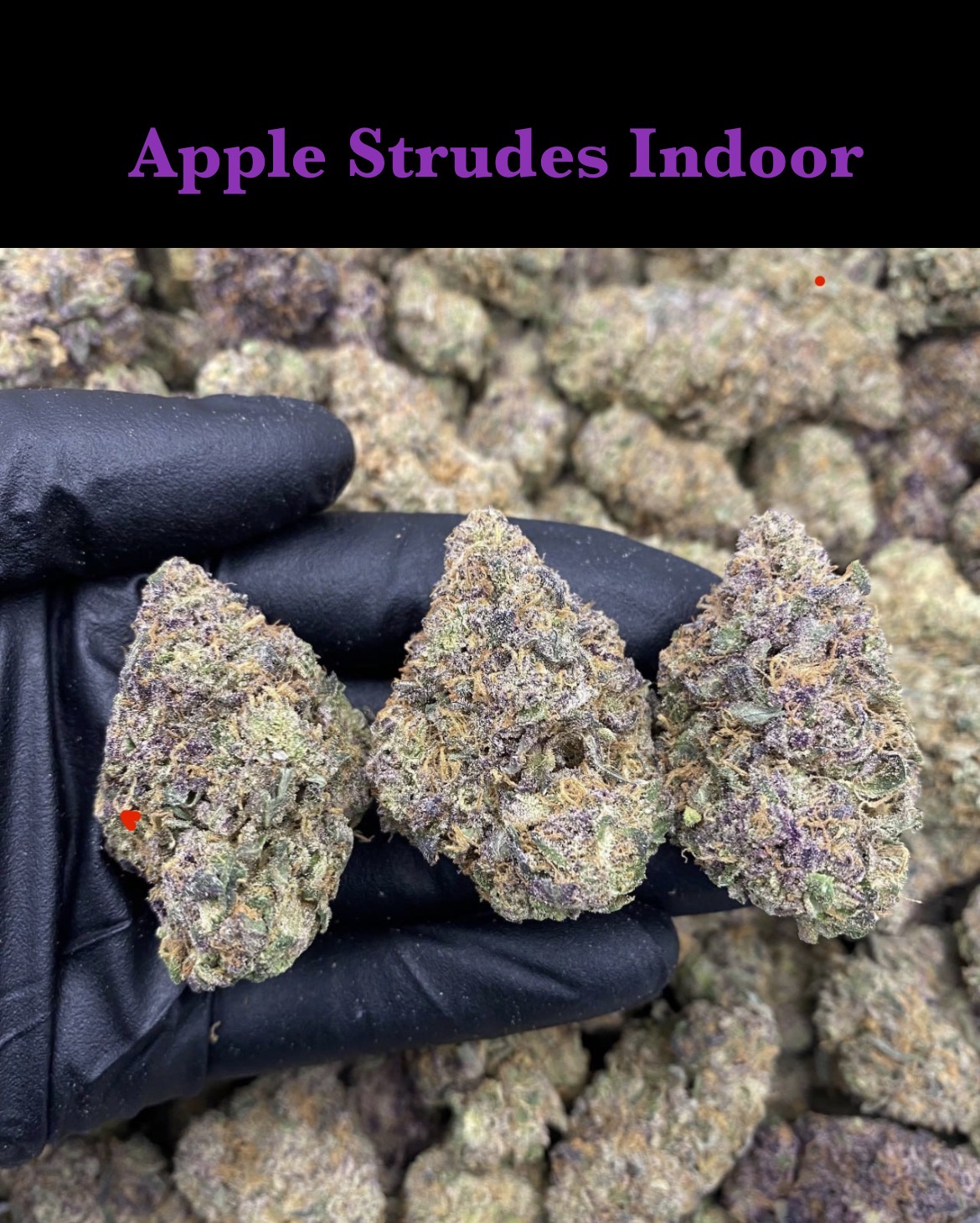 Apple Strudes Indoor