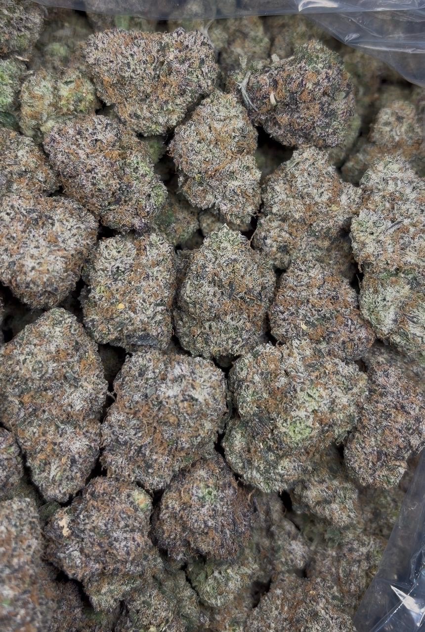 Zkittlez Cake Indoor