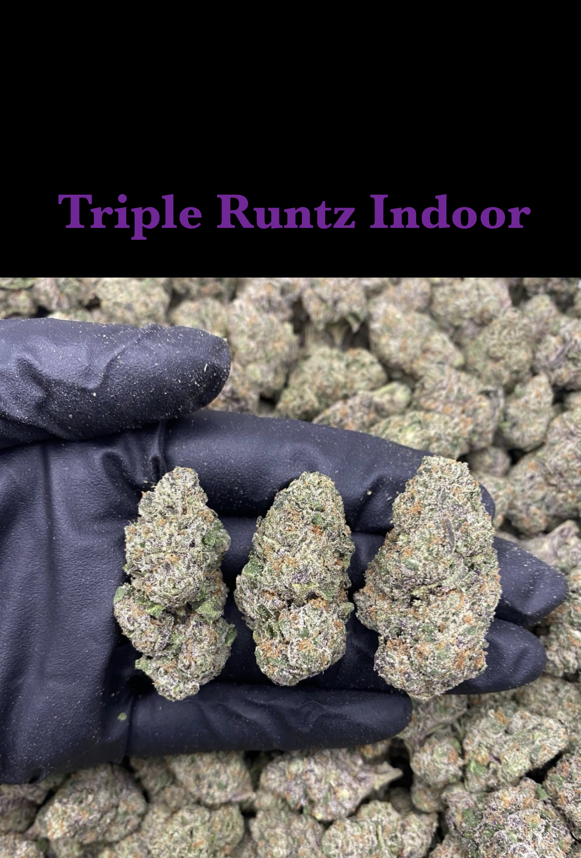 Triple Runtz Indoor