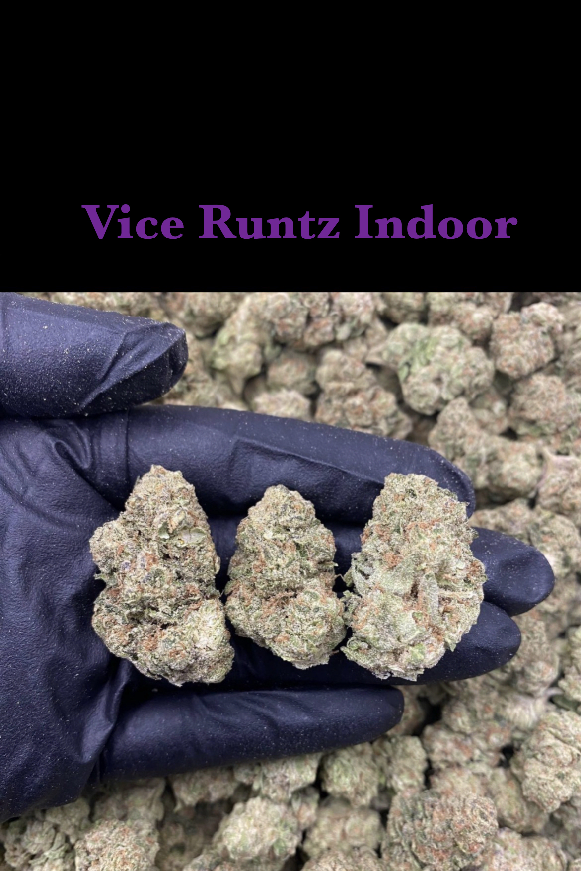 Vice Runtz Indoor