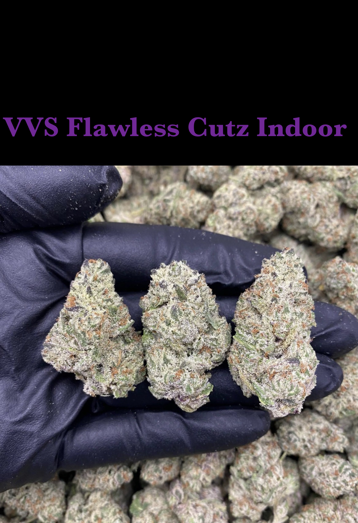 VVS Flawless Cutz Indoor